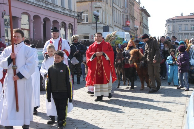 Niedziela Palmowa w Ziębicach