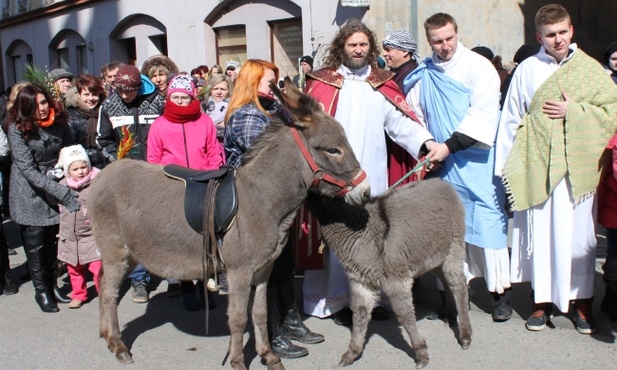 Most zakochanych, kłódki i…osioł