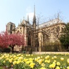 Nowe dzwony w katedrze Notre Dame