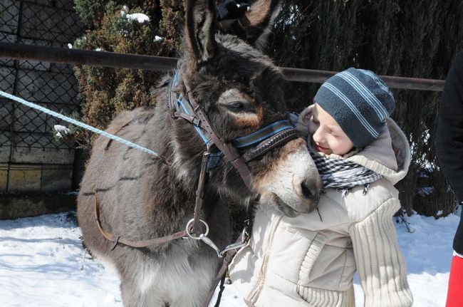 Niedziela Palmowa na Woli Duchackiej