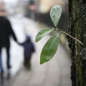 Londyn: homo-rodzice molestowali „syna”