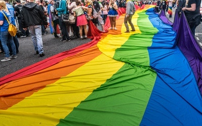 Projekt pod dyktando ideologii gender