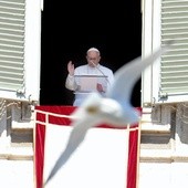 Papież i mewa