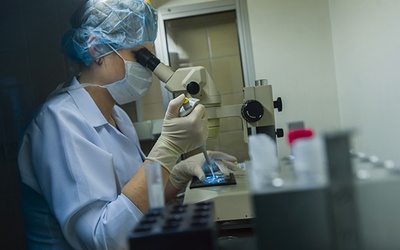Zgodnie z ministerialnym programem, dofinansowanie obejmie m.in. niektóre fazy biotechnologicznego i klinicznego etapu procedury in vitro. Na zdjęciu preparatyka  komórek jajowych