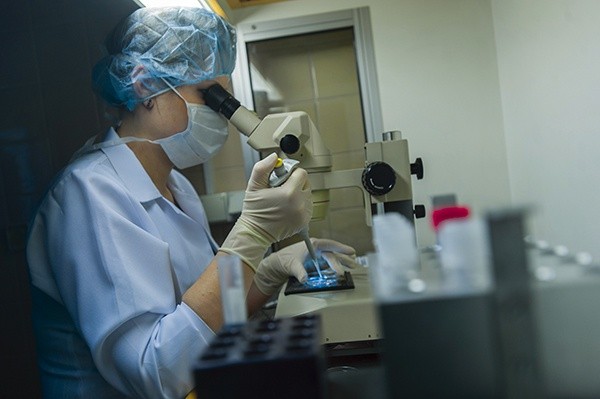 Zgodnie z ministerialnym programem, dofinansowanie obejmie m.in. niektóre fazy biotechnologicznego i klinicznego etapu procedury in vitro. Na zdjęciu preparatyka  komórek jajowych