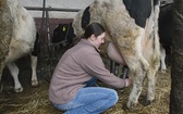 Gospodarstwo Pauliny specjalizuje się w hodowli krów mlecznych  