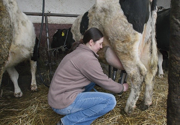 Gospodarstwo Pauliny specjalizuje się w hodowli krów mlecznych  