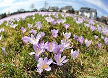 Wiosna odrabia zaległości