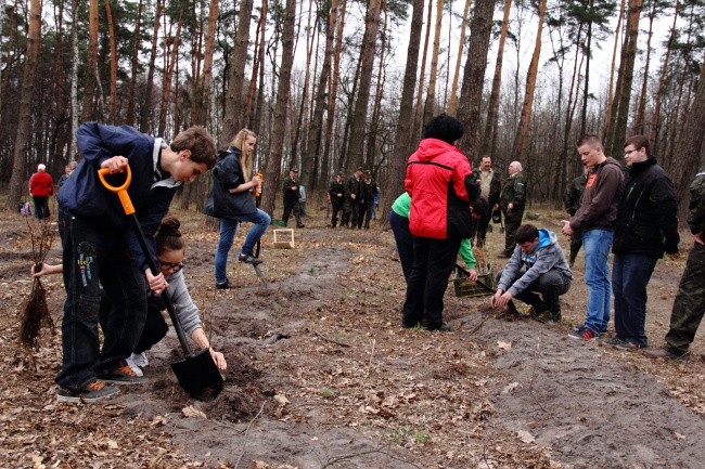 Święto Lasu w Niepołomicach