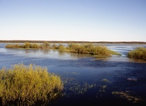 Nie znaleziono mężczyzny, który wpadł do Biebrzy
