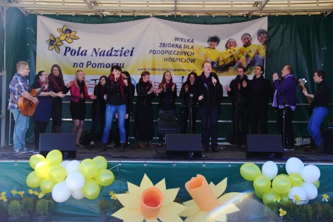 Pola Nadziei 2013 