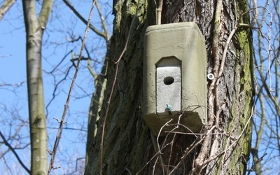 Pałac i park w Żmigrodzie