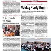 Opolski 17/2013