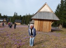 Podhale pełne krokusów