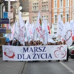 Marsz Życia w Świebodzinie