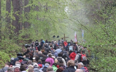 Uczcij święto pracy