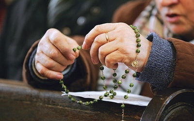  Róże Żywego Różańca modlą się we wszystkich parafiach diecezji, jednak szczególnym miejscem dla nich jest sanktuarium w Rokitnie