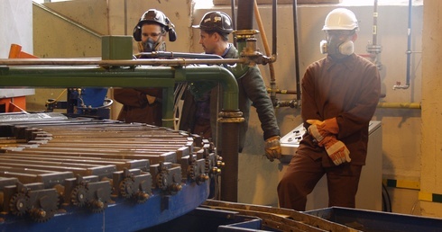 Srebrne gąski Polskiej Miedzi