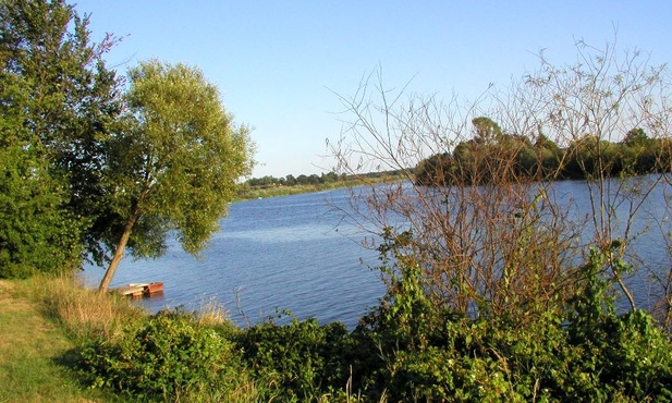 Odra