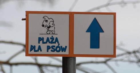 Strefa dla czworonogów