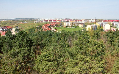 Gdańsk-Południe. Wilki widziano w odległości kilkunastu kilometrów od osiedli mieszkalnych