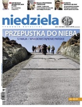 Niedziela 19/2013