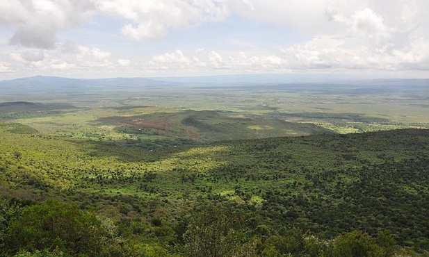 Kenia przeżywa dziś państwowe święto dla sadzenia drzew