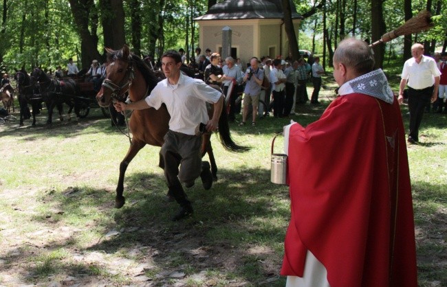 Śpiew i rżenie koni