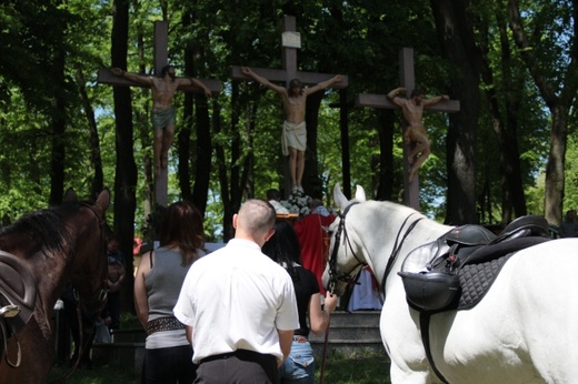 Pielgrzymka miłośników koni