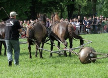 Eksperyment magdeburski w Krakowie