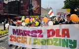 W radomskim marszu i pikniku rodzinnym wzięło udział około dwóch tysięcy osób