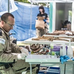 Medyk sądowy dr Szleszkowski w przenośnym laboratorium skrupulatnie opisuje  wszystkie szczątki  