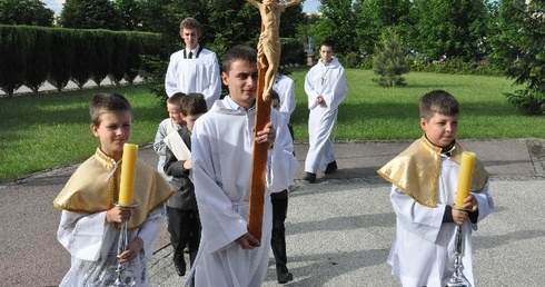 Mozaika w Nowej Soli