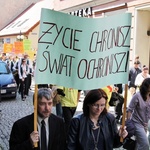 Marsz dla Życia i Rodziny - Wodzisław Śl. 2013