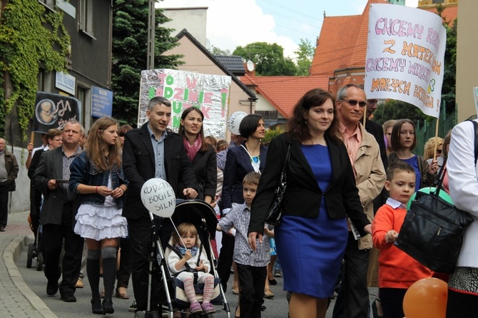 Marsz dla Życia i Rodziny - Wodzisław Śl. 2013