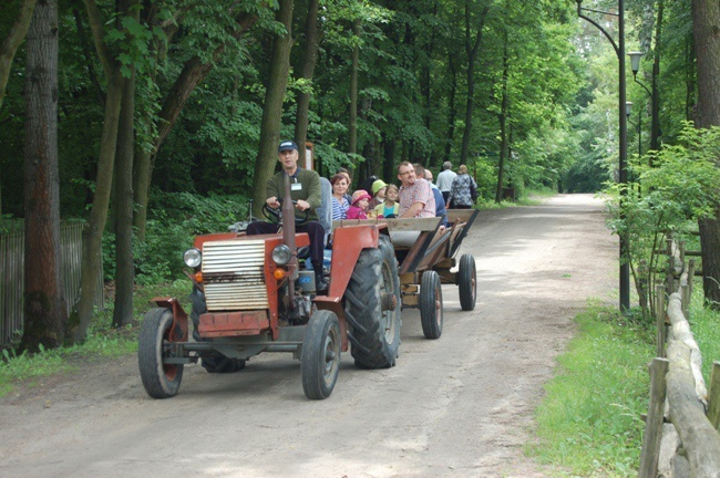 Cukierkowe róże na Dzień Dziecka