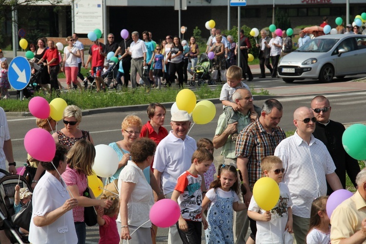 Marsz dla Życia i Rodziny - Jastrzębie 2013