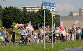 Marsz dla Życia i Rodziny - Jastrzębie 2013