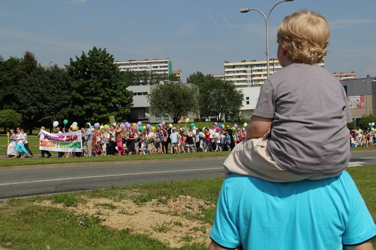 Marsz dla Życia i Rodziny - Jastrzębie 2013