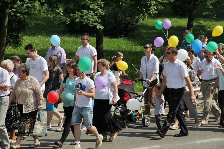 Marsz dla Życia i Rodziny - Jastrzębie 2013