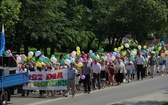 Marsz dla Życia i Rodziny - Jastrzębie 2013