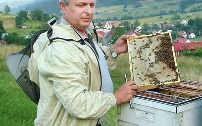  Dr Wiesław Londzin zajmuje się naukowo pszczelnictwem