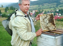  Dr Wiesław Londzin zajmuje się naukowo pszczelnictwem