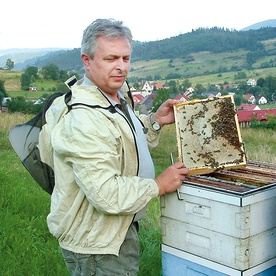  Dr Wiesław Londzin zajmuje się naukowo pszczelnictwem