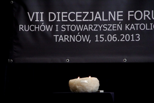 VII Forum Ruchów i Stowarzyszeń. Prelekcje.