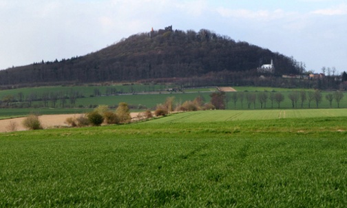 Grodziec