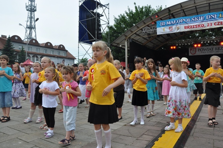 Dni Jana Pawła II w Brzesku