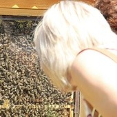  Ścieżka przy Nadleśnictwie Katowice – tu można podglądać pszczoły przy pracy