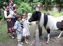  Dzieci państwa Mokrzyckich były pod dużym wrażeniem zwierząt,  które mogły obejrzeć w zoo