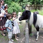  Dzieci państwa Mokrzyckich były pod dużym wrażeniem zwierząt,  które mogły obejrzeć w zoo